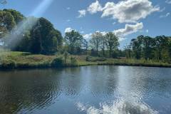 177946634_4080168765355060_2804188926178647876_n